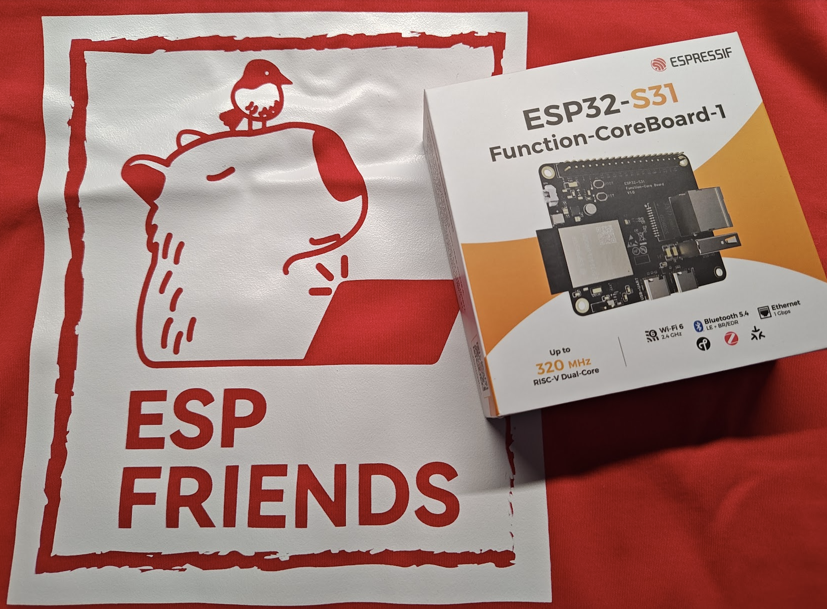 ESP Friends ESP32-S31.png