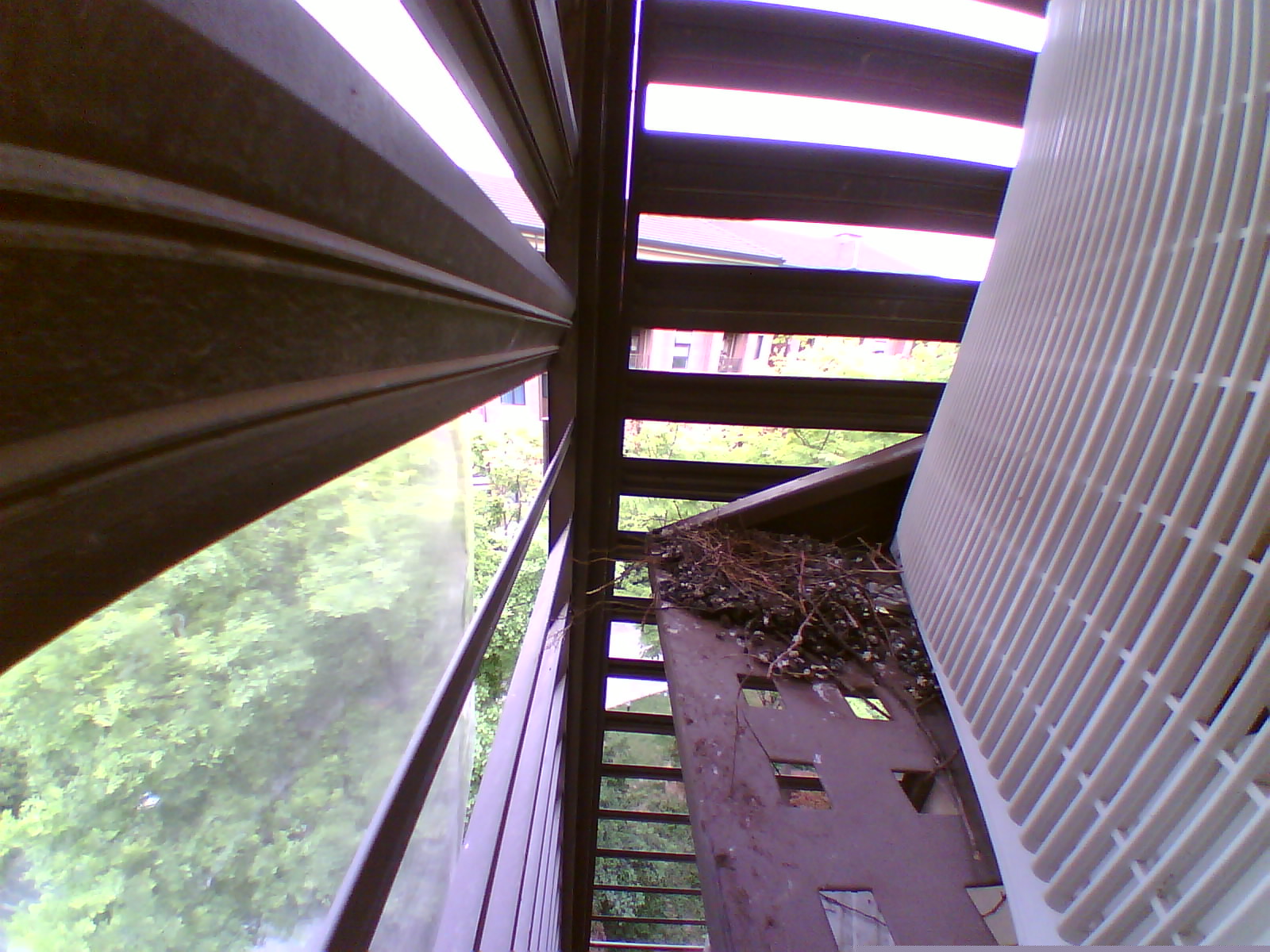 20200418132853.jpg