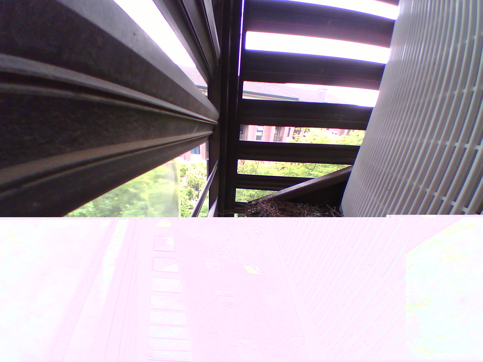 20200417154540.jpg